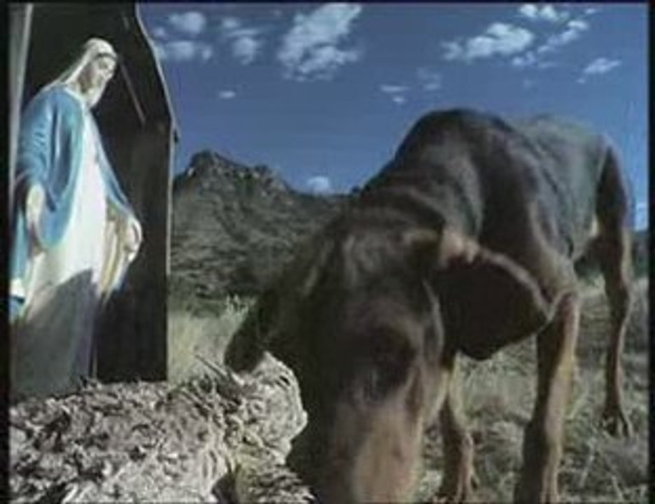 Gözünden kan fışkırtan kertenkele