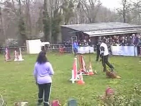 Bango Open Agility Villefranche 05/04/2009
