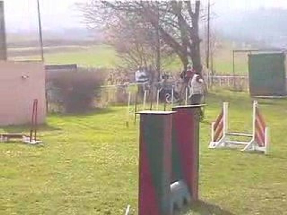 Bango GPF Agility Villefranche 05/04/2009