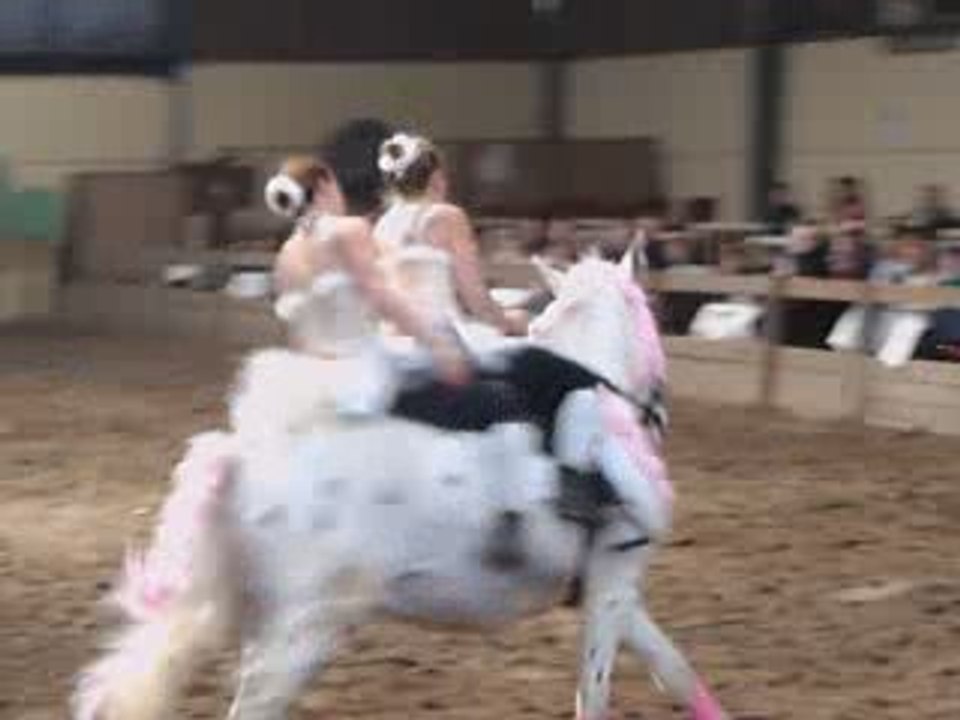 Les soeurs casse-pieds (trophés spectacle equestre 2009)