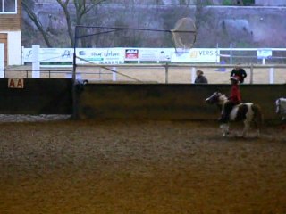 Les "Poons" de Koeking - 3