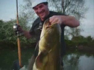 Silure de 1,20 m 🐟