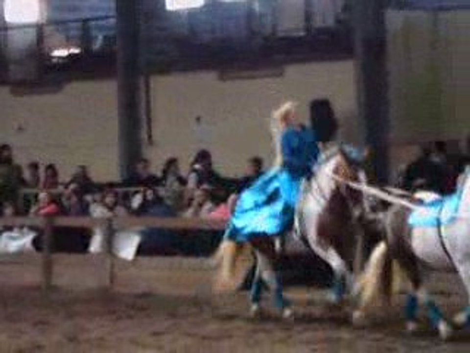 Tendem (trophé spectacle equestre 2009)