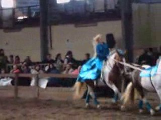 Tendem (trophé spectacle equestre 2009)
