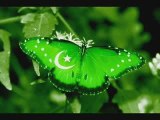 Pakistan National Anthem - Tarana