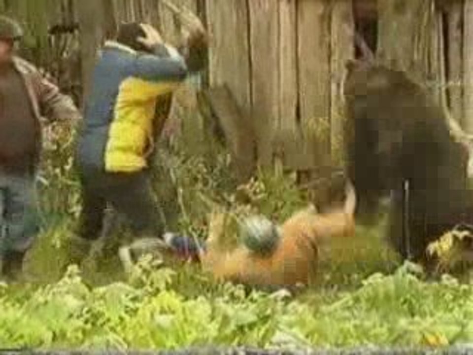 nourrir un ours
