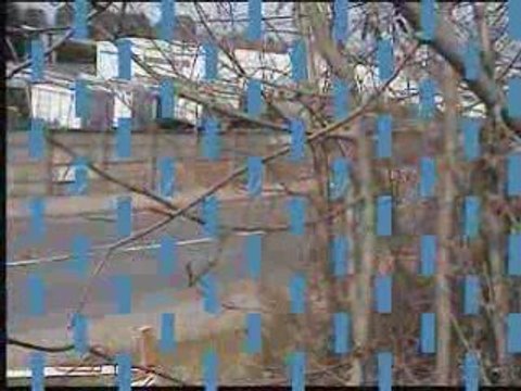 Slalom saint vallier