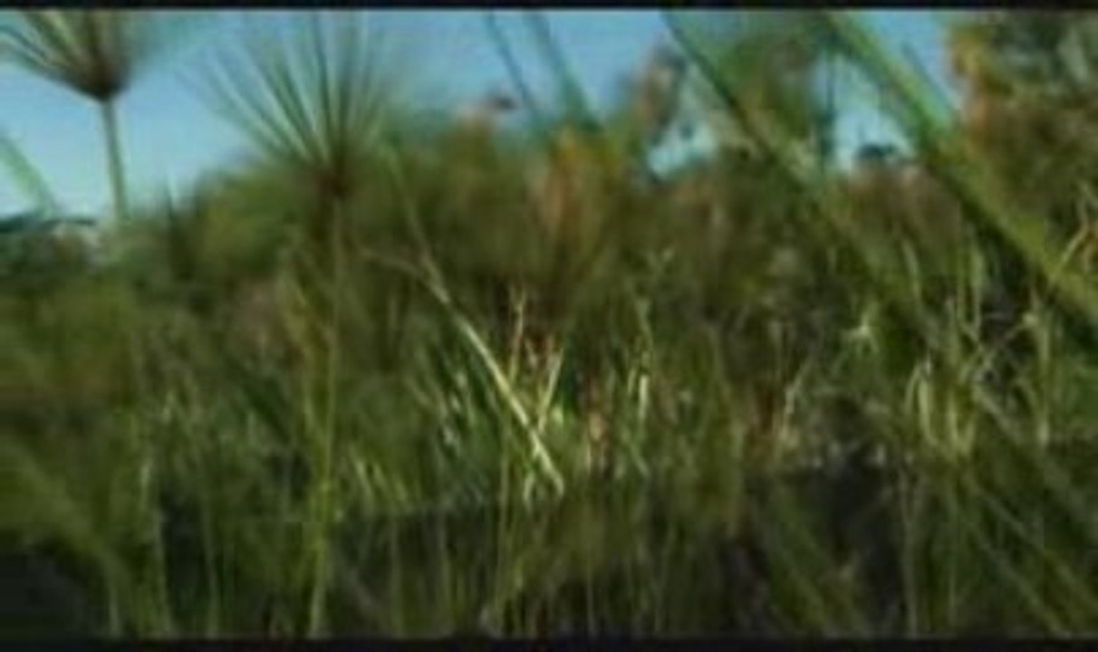 L'évangile selon judas (4/6)