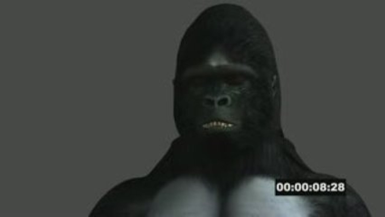 Test Lyrics sur le Gorilla 2