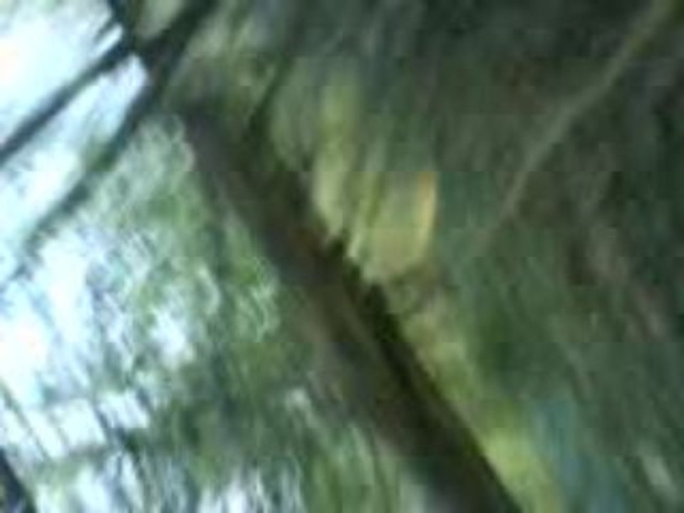 Extrait airsoft