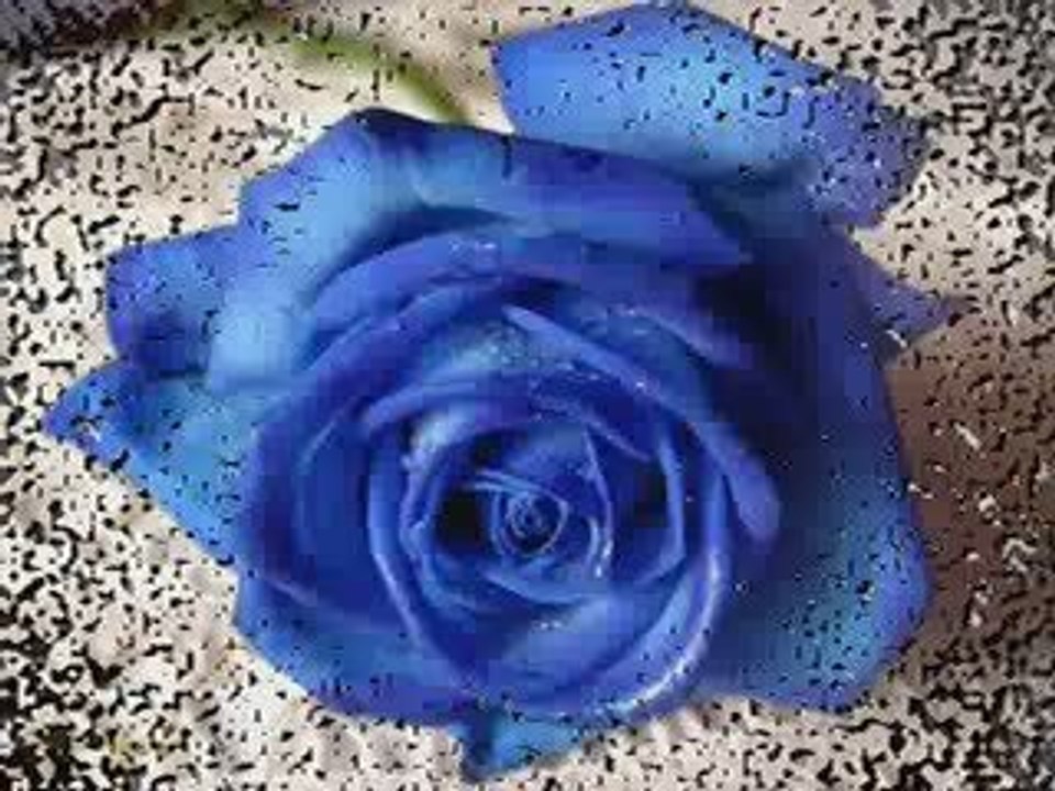 AŞK HERŞEYE DEĞER