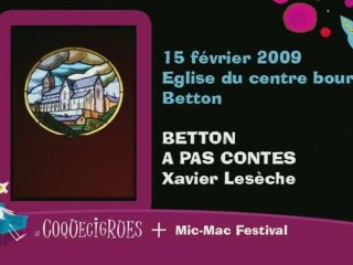 4- Festival Les Coquecigrues de Rennes, dimanche 15/02/09