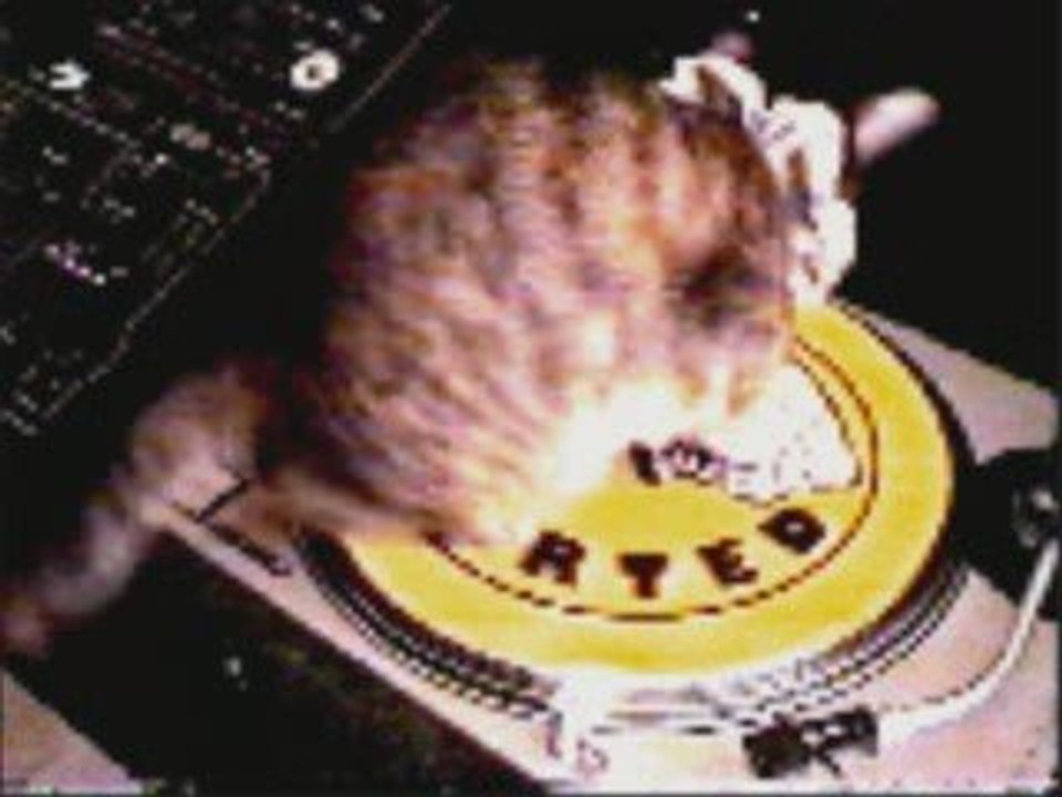Fucking cat de POISON76