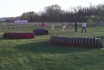 Auch-22/03/09-Maybe-Jumping