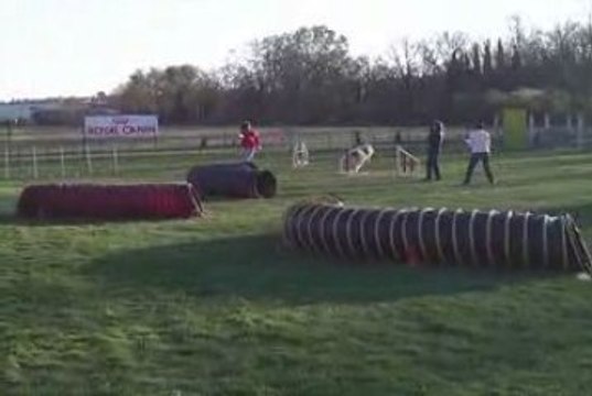 Auch-22/03/09-Maybe-Jumping