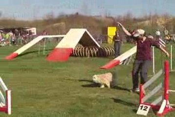 Auch-22/03/09-UK-GPF