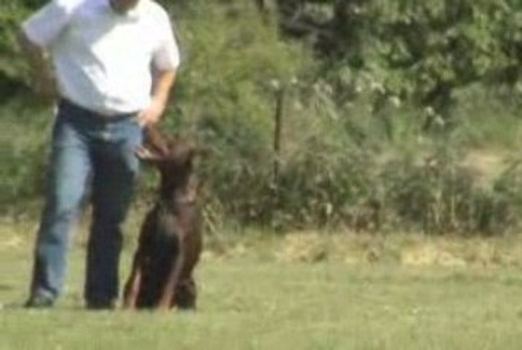 ZTP de Rensdorff Evsey ( à Mme Gamble )