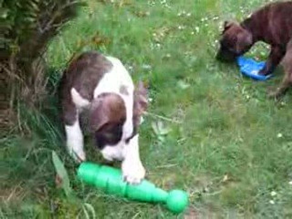 Photo 2122