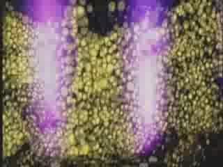 Progressive Psy Trance - Trance Festival 2006
