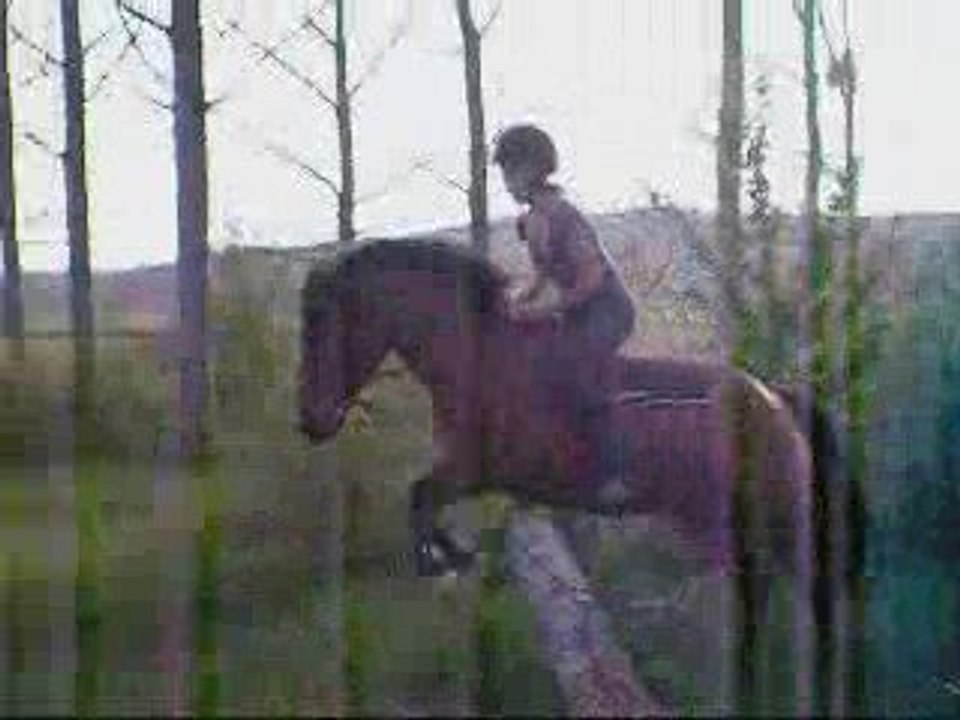 Alladin et mwa en ballade le 5 avril 2009