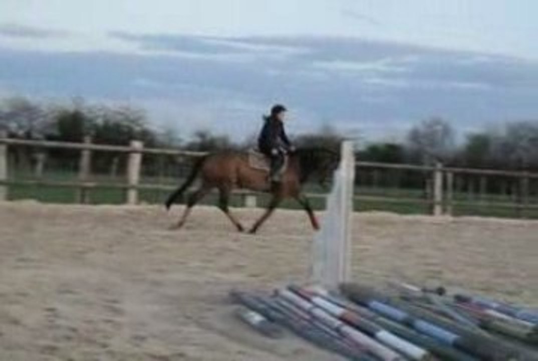 Mamzelle 07-04-09 1