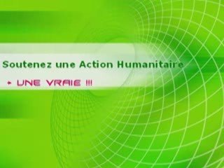 NY ONJA DEFINITIF 04 2009