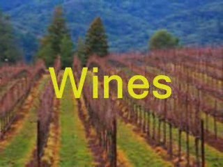 Niche Socializer: Social Networking on Steroids?