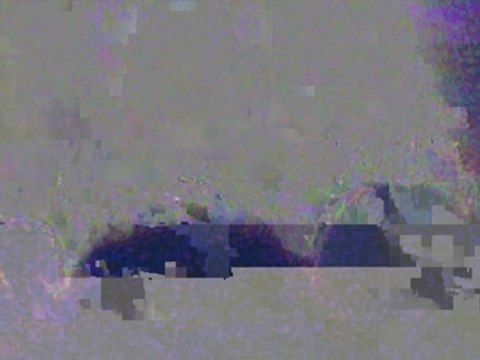 Concert Caravan Palace