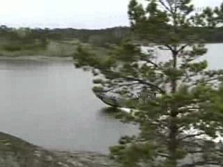 Patria NEMO - New Mortar