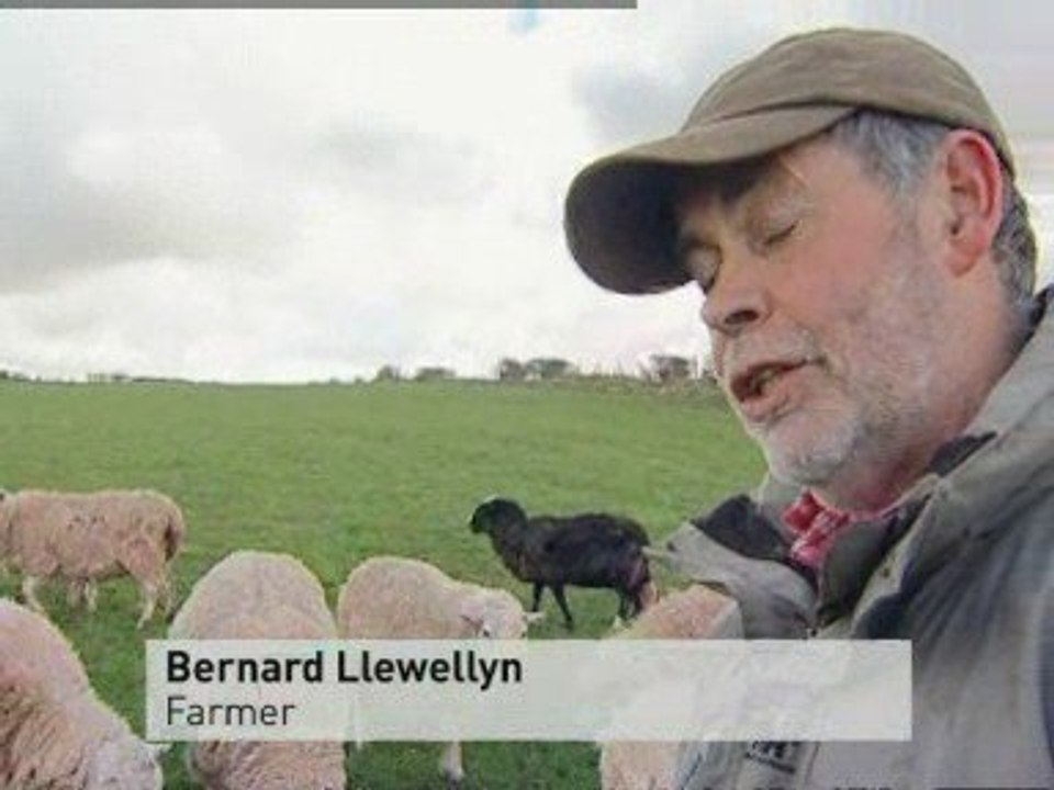 Extreme shepherding become You Tube sensation