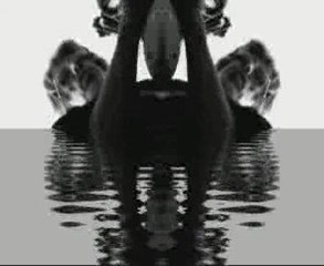 Sur la corde raide !