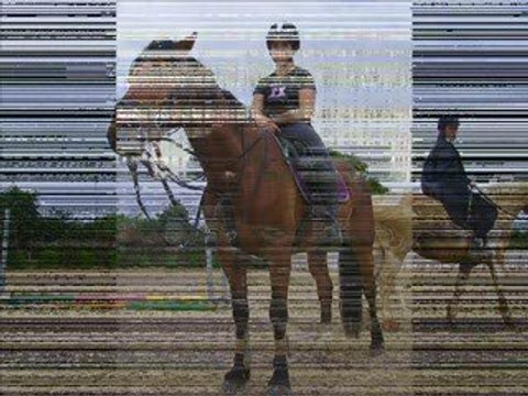 Cavaliers de concours du Refuge