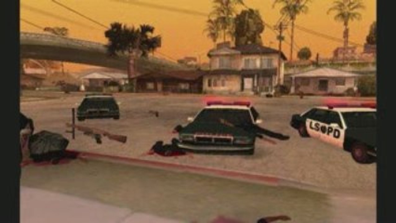 diapo police