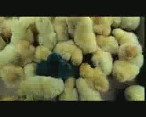 Gün gelecek, herkes sana sadece insan diyecek...