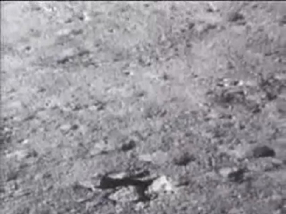 premier pas sur la Lune
