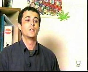 Cannabis efectos adversos