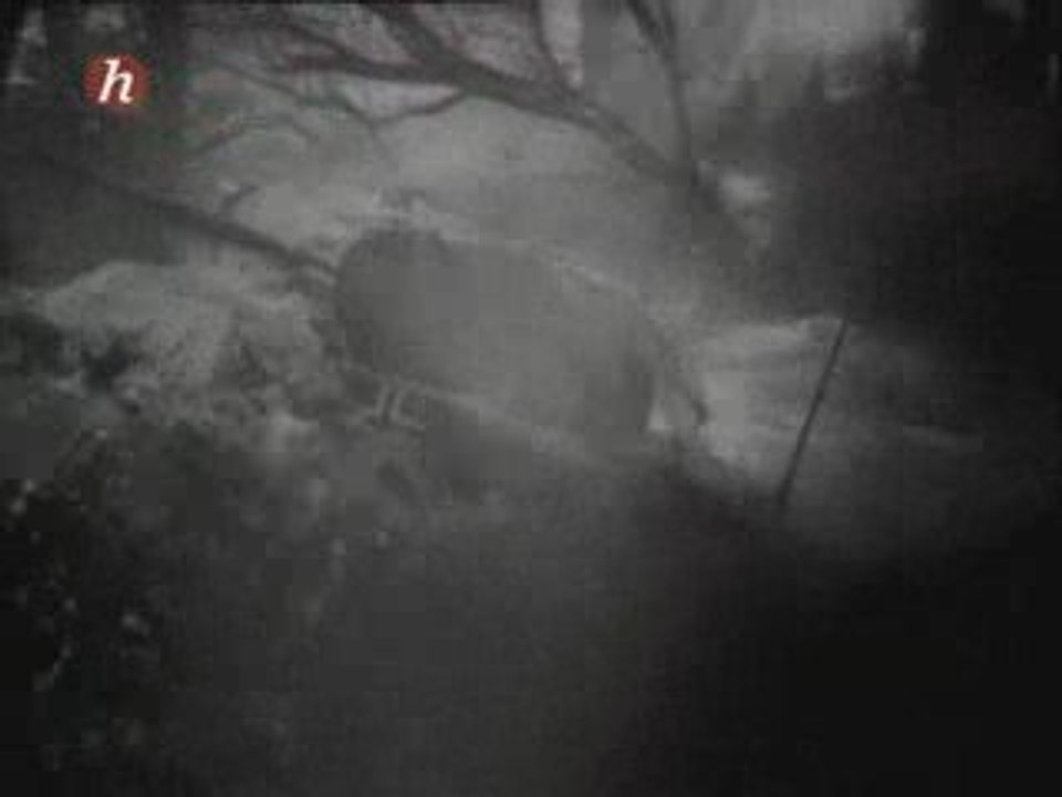 Les Mitrailleuses #1