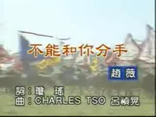 Vicky Zhao Wei - Can't separate with you