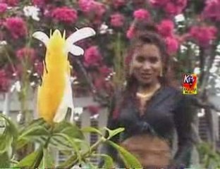 Somandrazana (Viavy Chila)