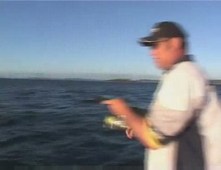 Mark Berg Fishing - Ultimate Fishing Volume 2