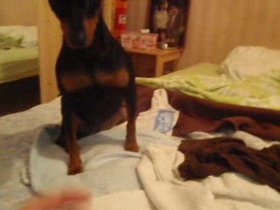 caaliiee