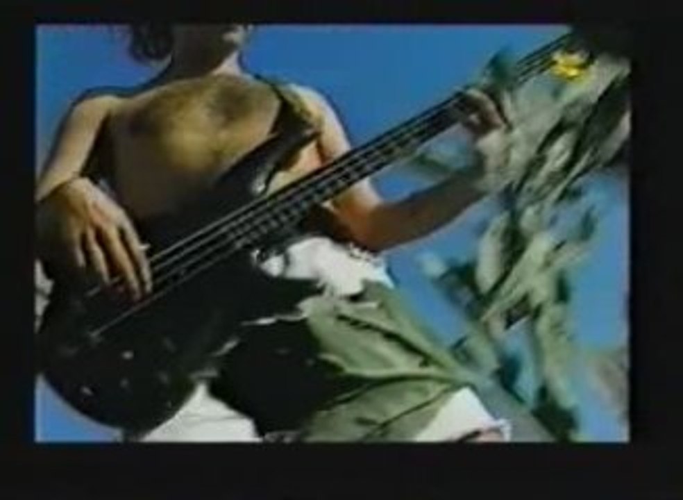 Casa de Pepe - FOLITESSE