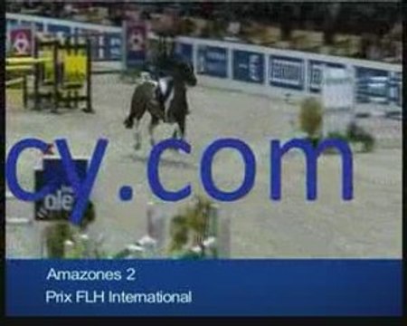 Blue horse agency acheter, vendre ou louer un cheval