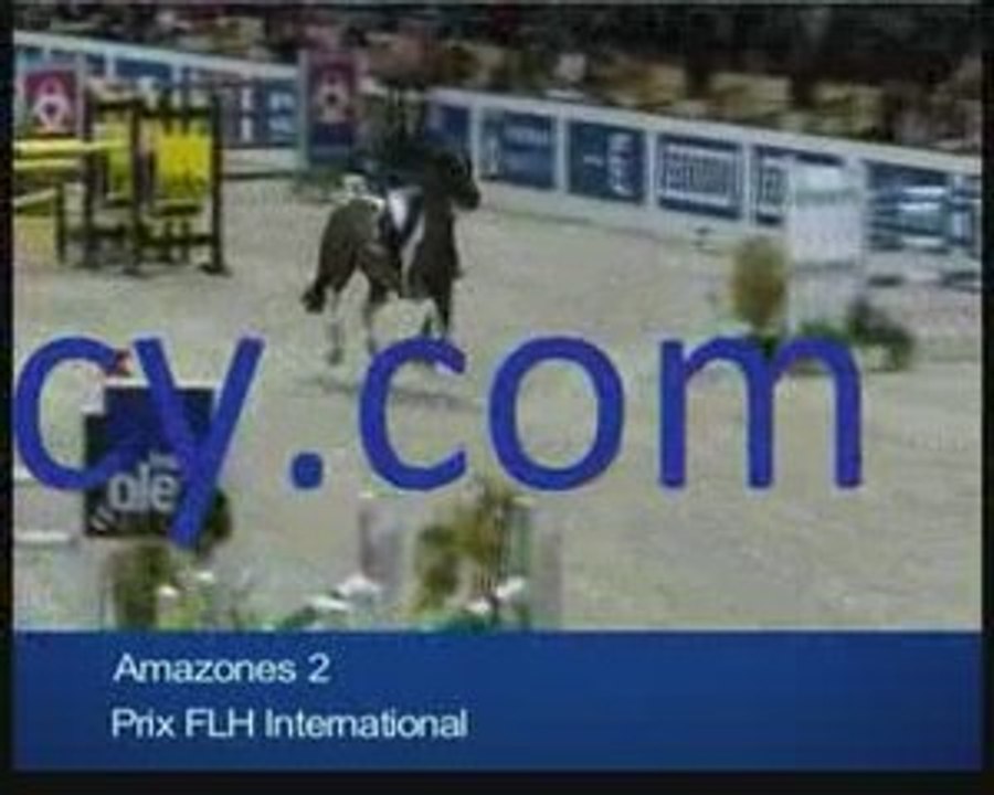 Blue horse agency acheter, vendre ou louer un cheval