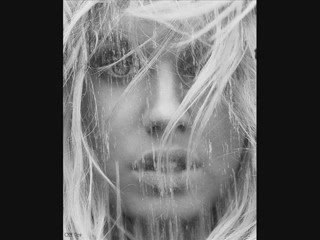 Maciej Zembaty - Bird on the wire (di Leonard Cohen)