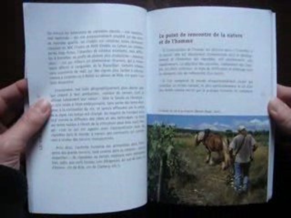 Livre le Vin au Naturel François Morel