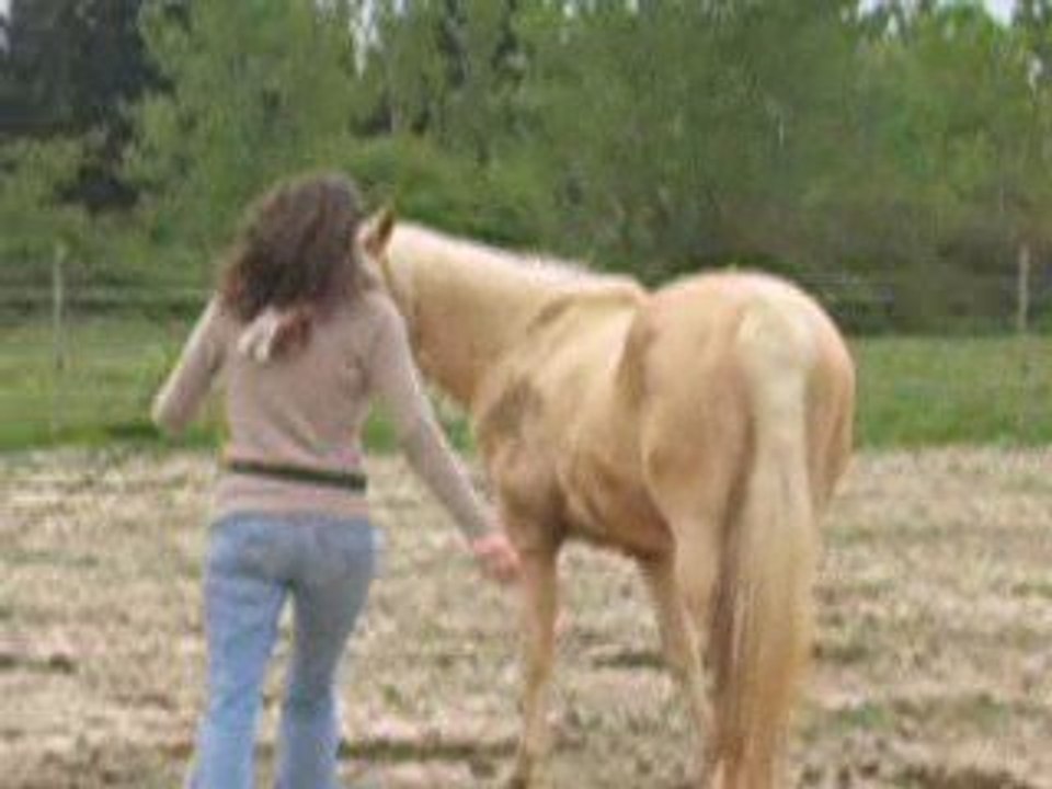 Tiz 2 Avril 2009