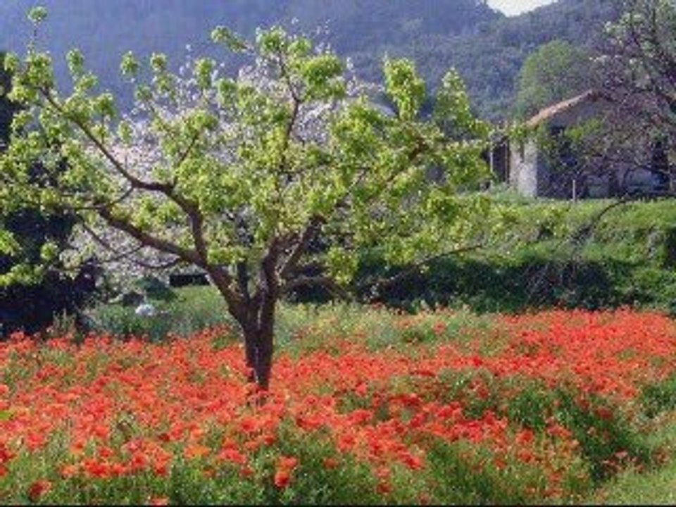 Ode to Joy by Seda - Ludwig von Beethoven ( Deutsch )