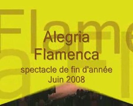 Spectacle-juin2008-sevillanes