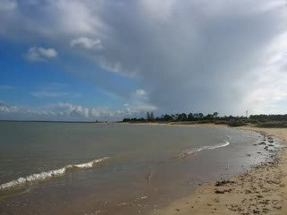 Les p'tits Monstres !!